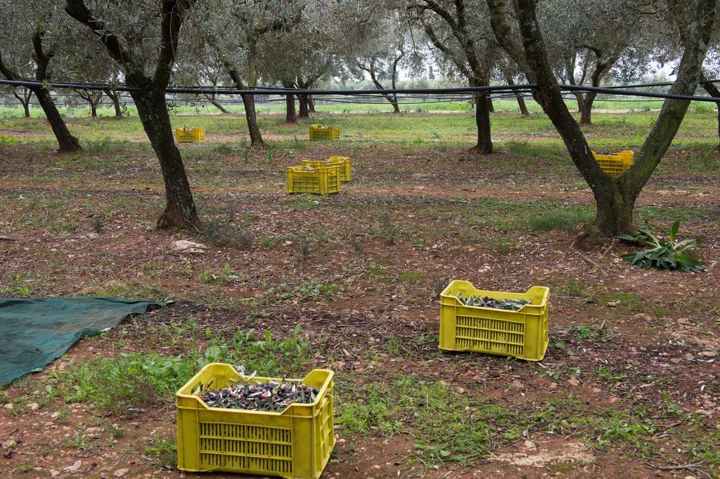 Agriturismo Scalelle Otranto Eksteriør bilde