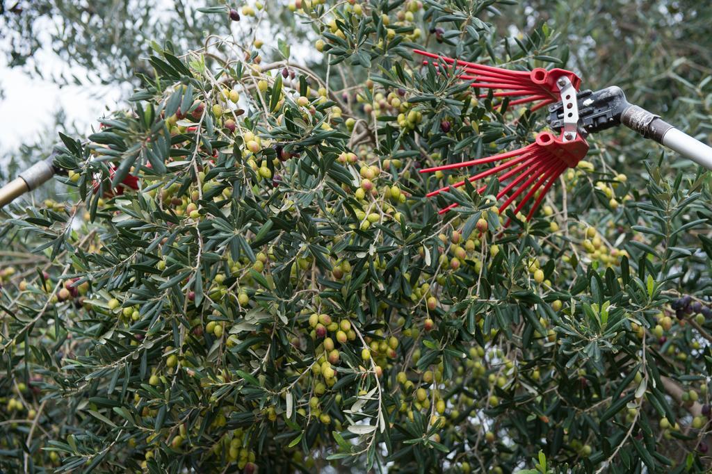 Agriturismo Scalelle Otranto Eksteriør bilde